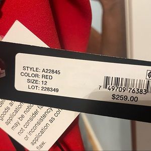 Formal, Long Evening Gown